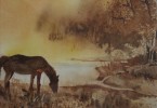 Cheval en pâture - aquarelle 30 x 25 cm